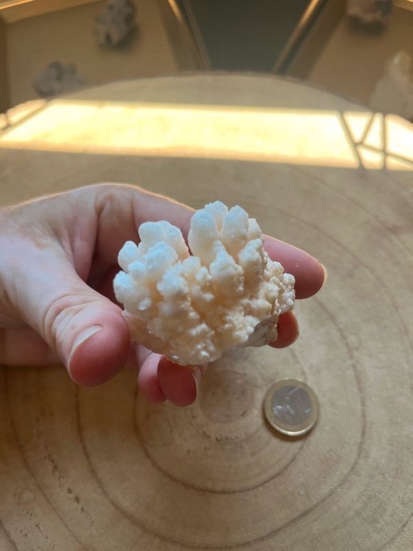 Aragonite (0.063 Kg)