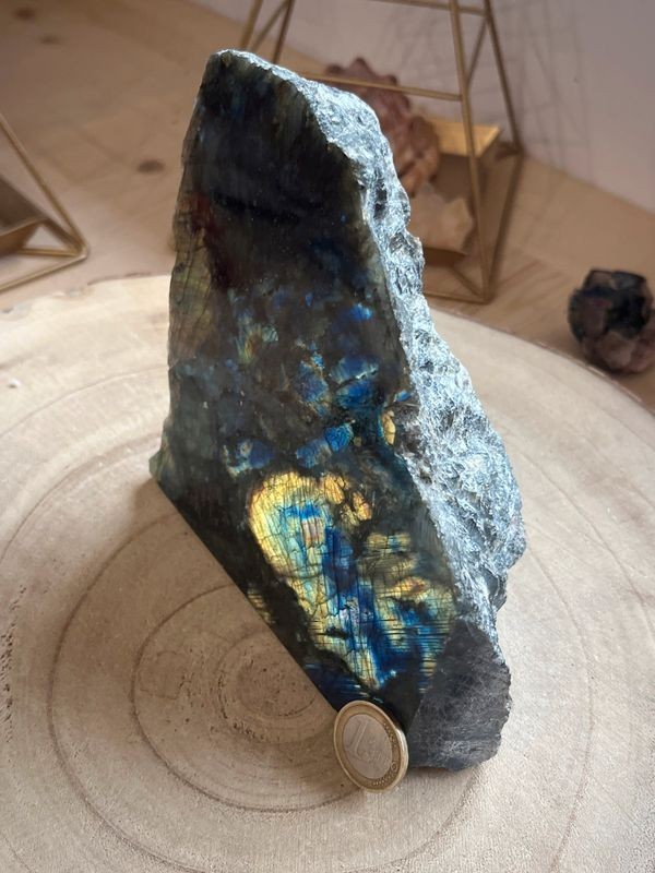 Labradorite une face polie (1,6 Kg)