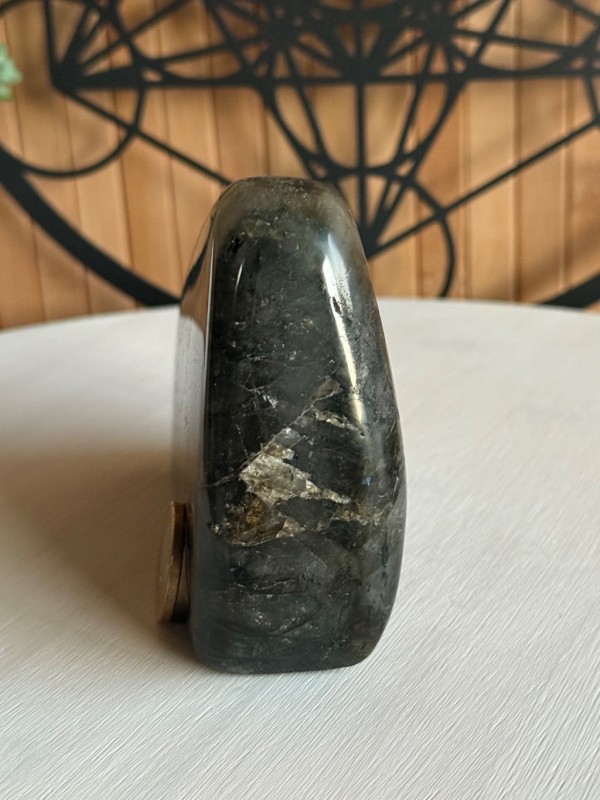 Labradorite (0.655kg)