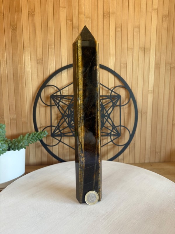 Pointe œil de tigre (0.86kg)