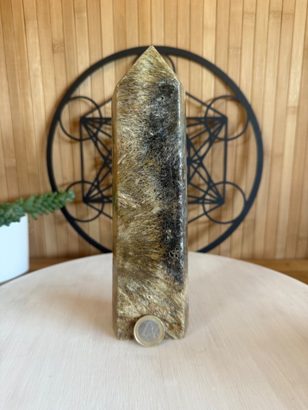 Pointe agate sagénite (0.91kg)