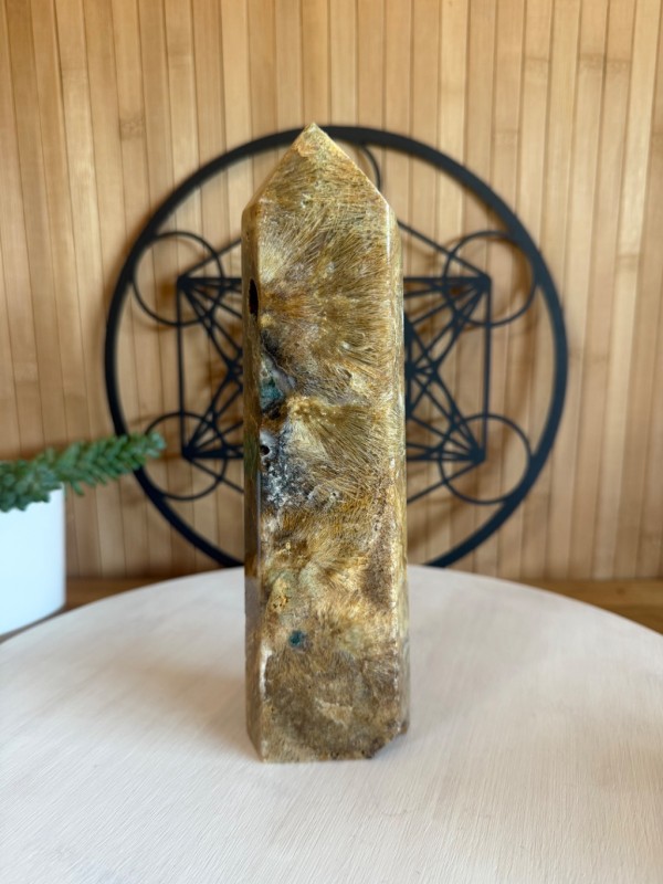 Pointe agate sagénite (0.91kg)