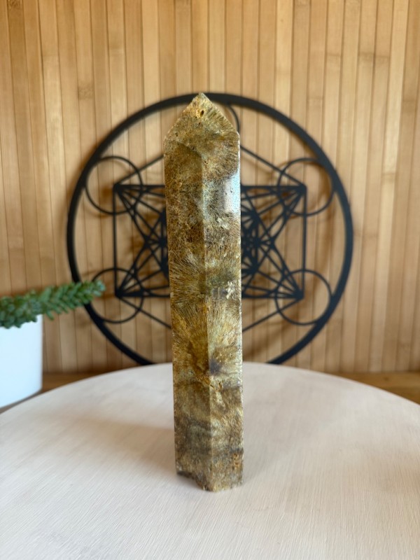 Pointe agate sagénite (0.91kg)