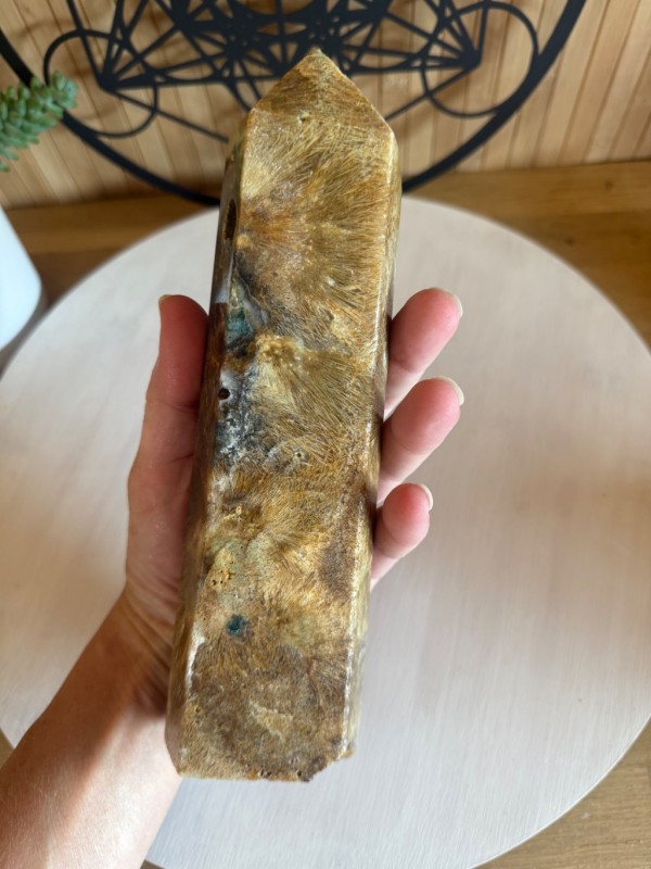 Pointe agate sagénite (0.91kg)