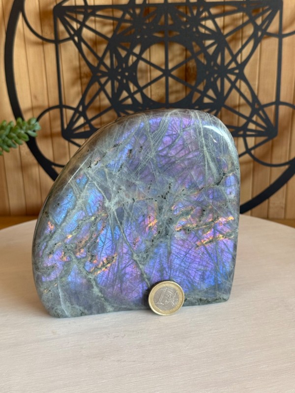 Labradorite violette (1.49kg)