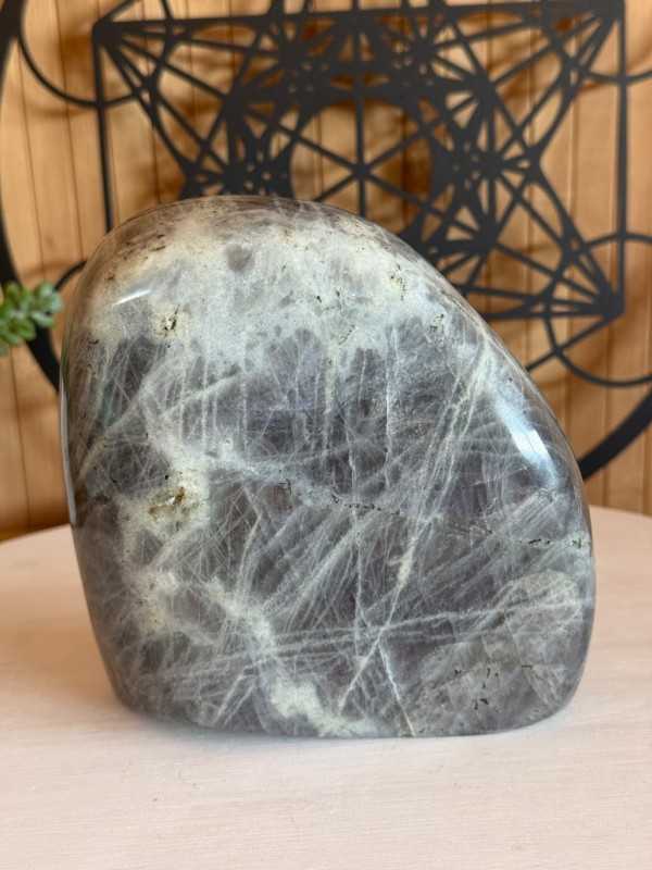Labradorite violette (1.49kg)