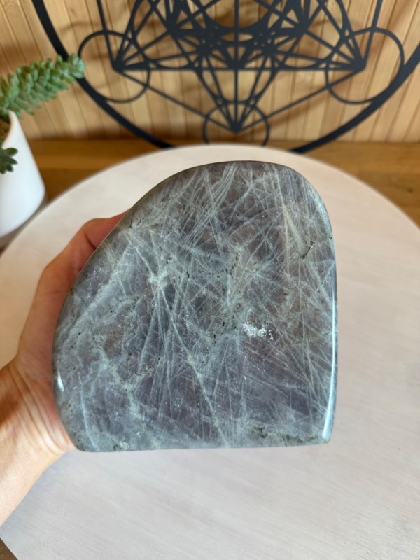 Labradorite violette (1.49kg)