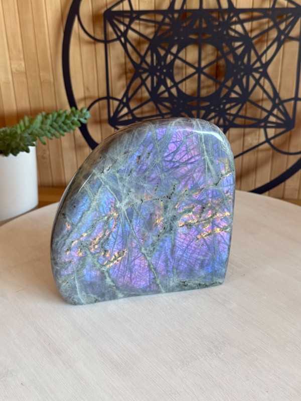 Labradorite violette (1.49kg)