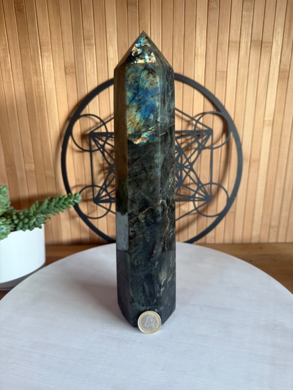 Pointe labradorite (1.7kg)