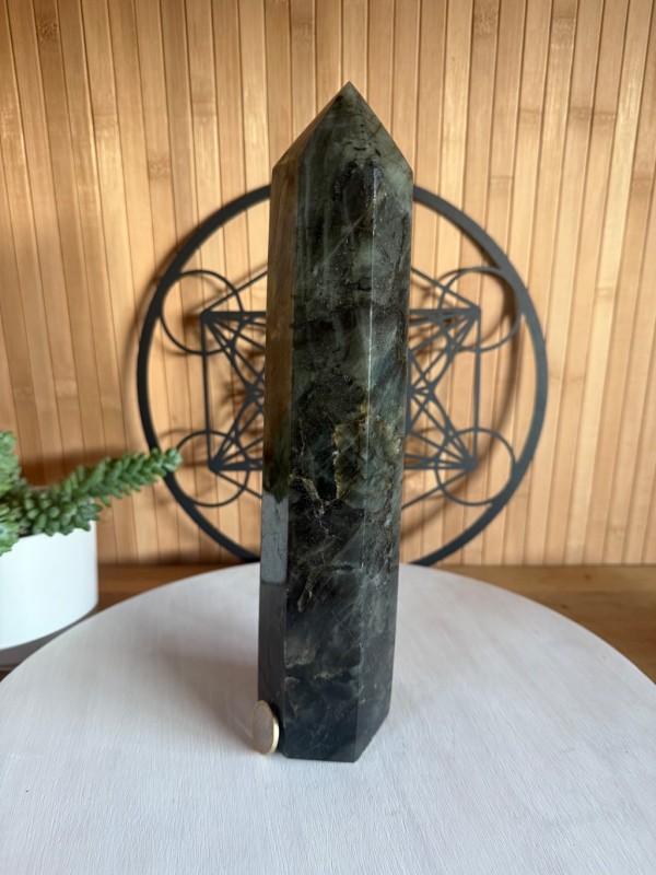 Pointe labradorite (1.7kg)