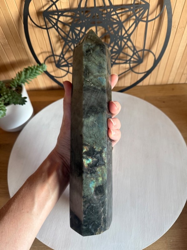 Pointe labradorite (1.7kg)