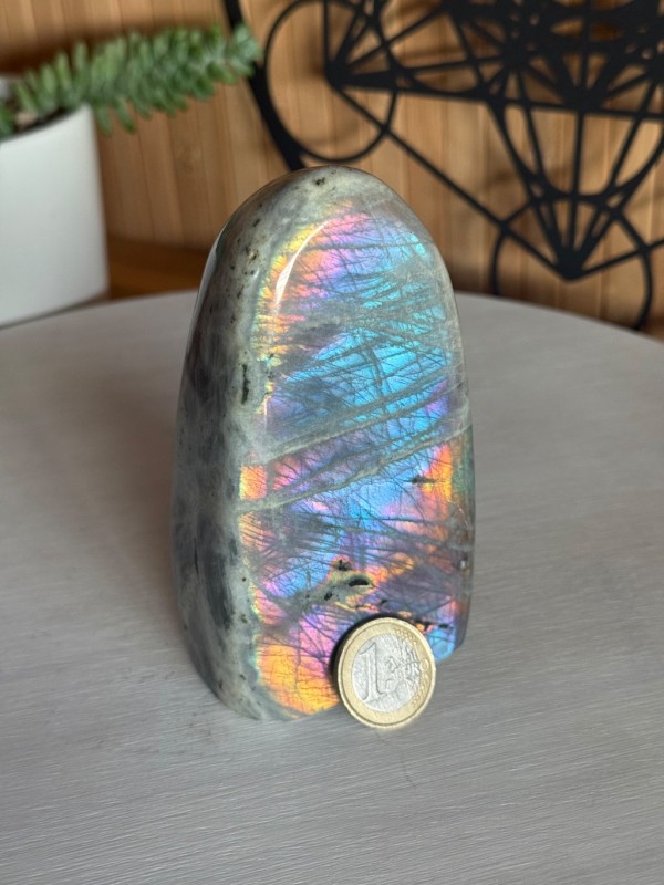 Labradorite violette (0.595kg)