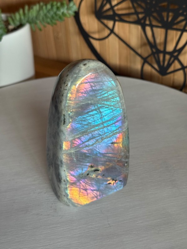 Labradorite violette (0.595kg)