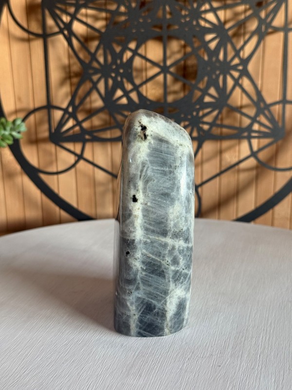 Labradorite violette (0.595kg)