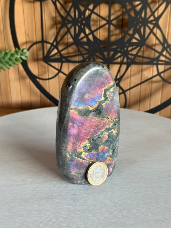 Labradorite violette (0.44kg)