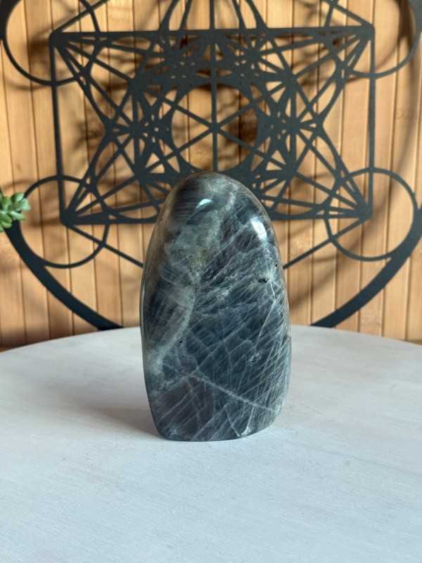 Labradorite violette (0.44kg)