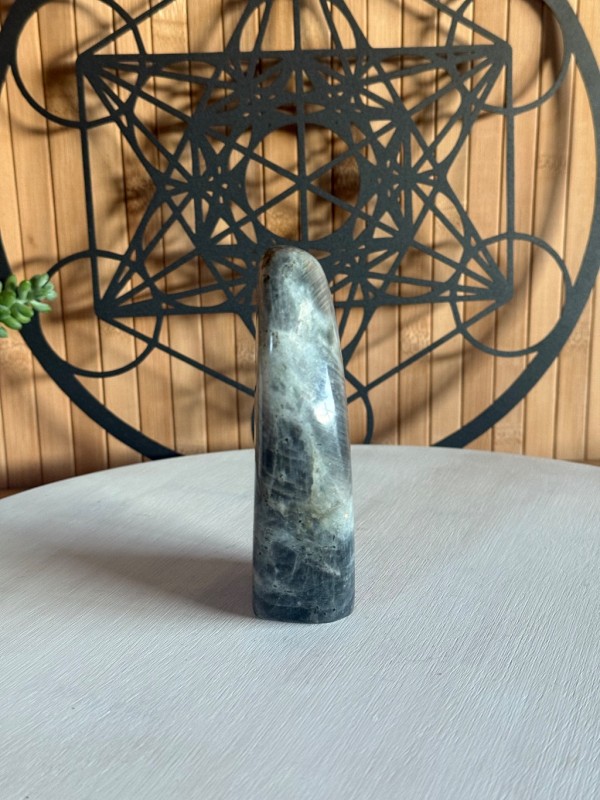 Labradorite violette (0.44kg)