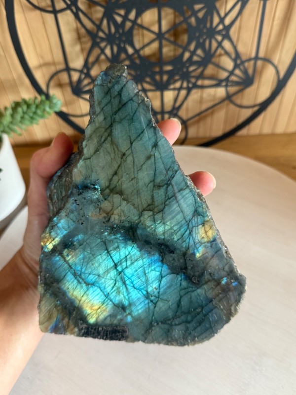 Labradorite semi polie (1.565kg)