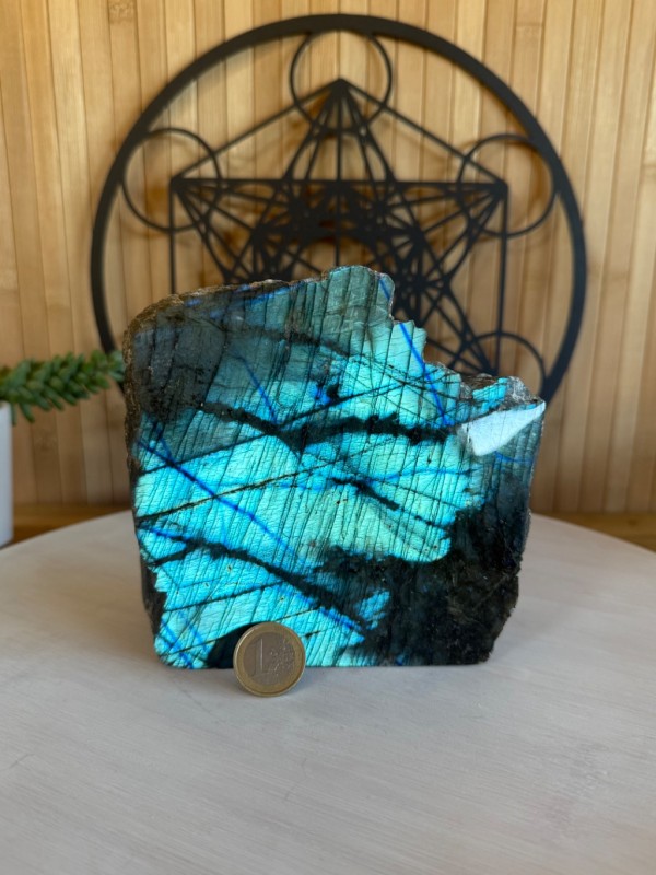 Labradorite semi polie (1.6kg)