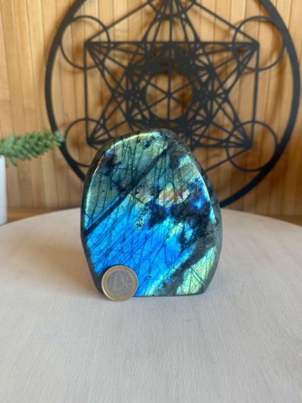 Labradorite (0.665kg)
