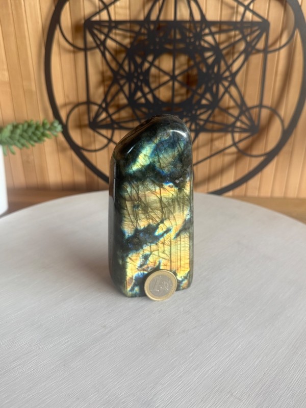 Labradorite (0.495kg)