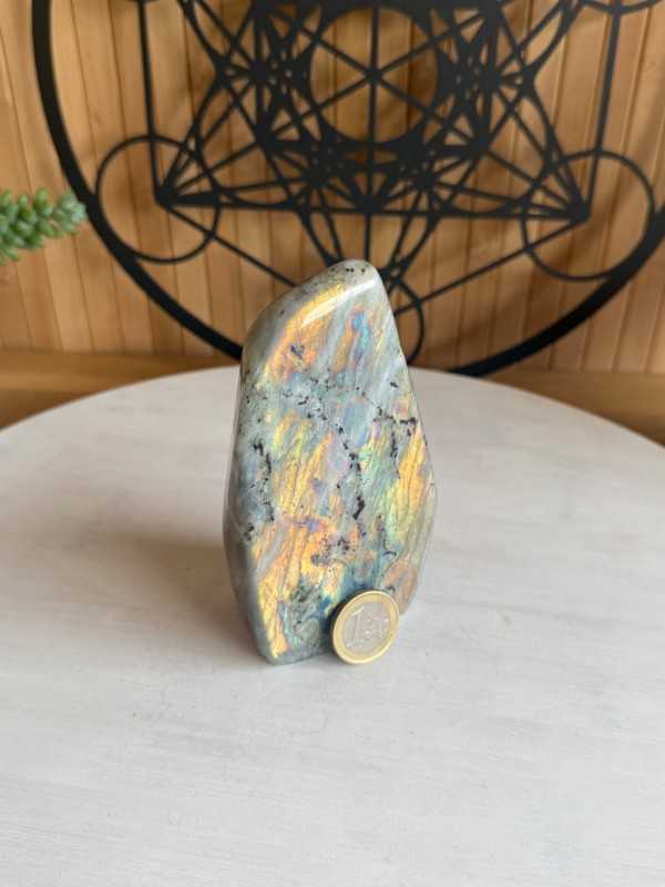 Labradorite (0.495kg)