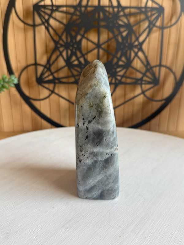 Labradorite (0.495kg)