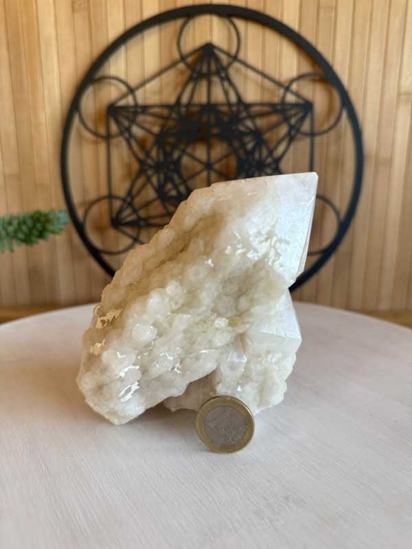 Cristal de roche (0.785kg)