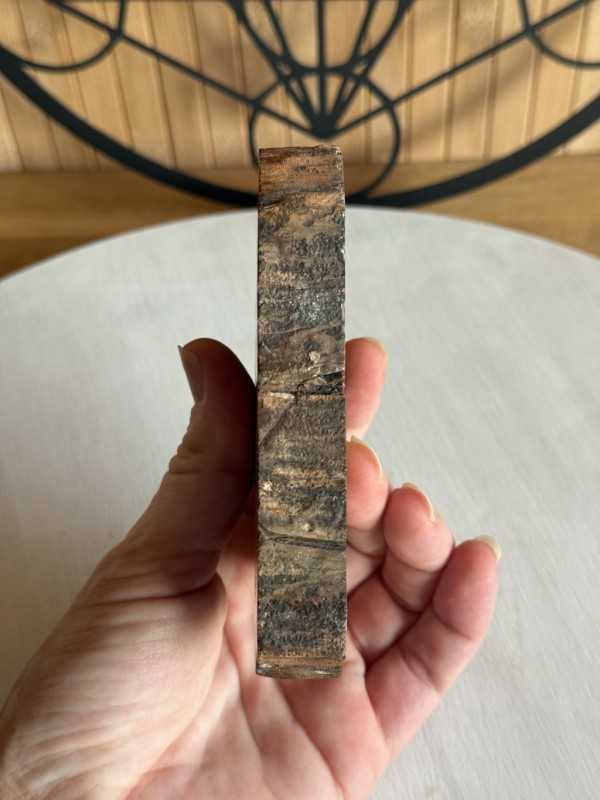 Bois fossilisé (0.28kg)