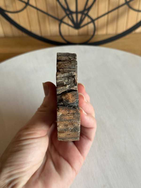 Bois fossilisé (0.28kg)