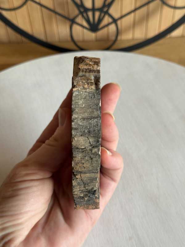 Bois fossilisé (0.28kg)