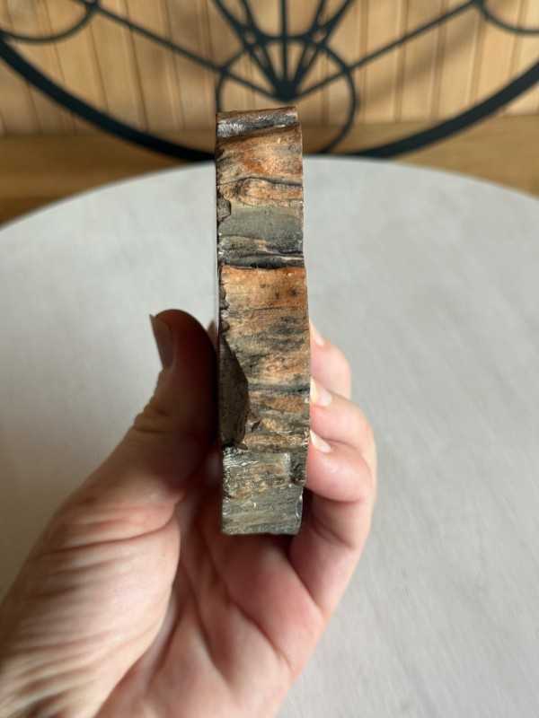 Bois fossilisé (0.28kg)