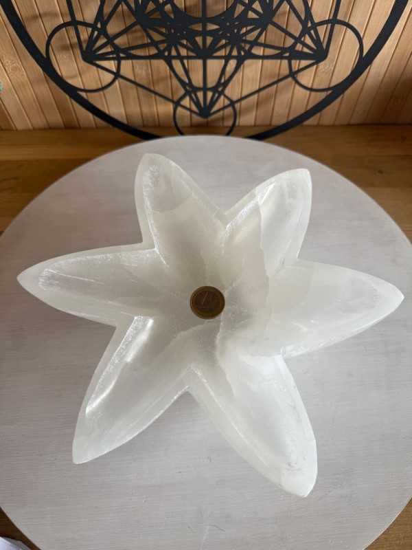 Coupelle en sélénite (1.47kg)