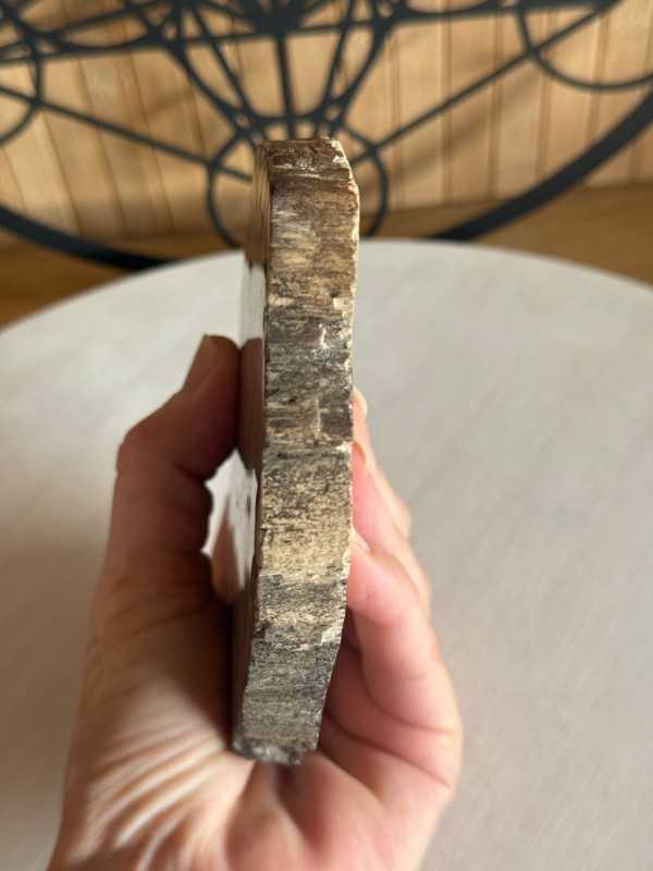 Bois fossilisé (0.315kg)