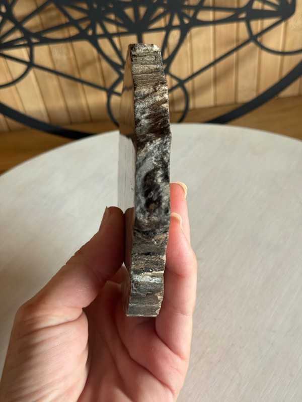 Bois fossilisé (0.315kg)
