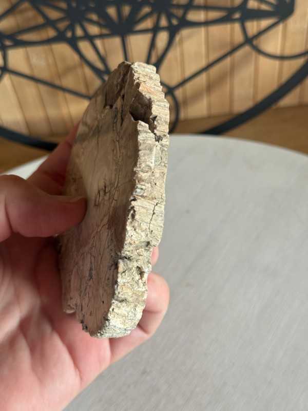 Bois fossilisé (0.21kg)