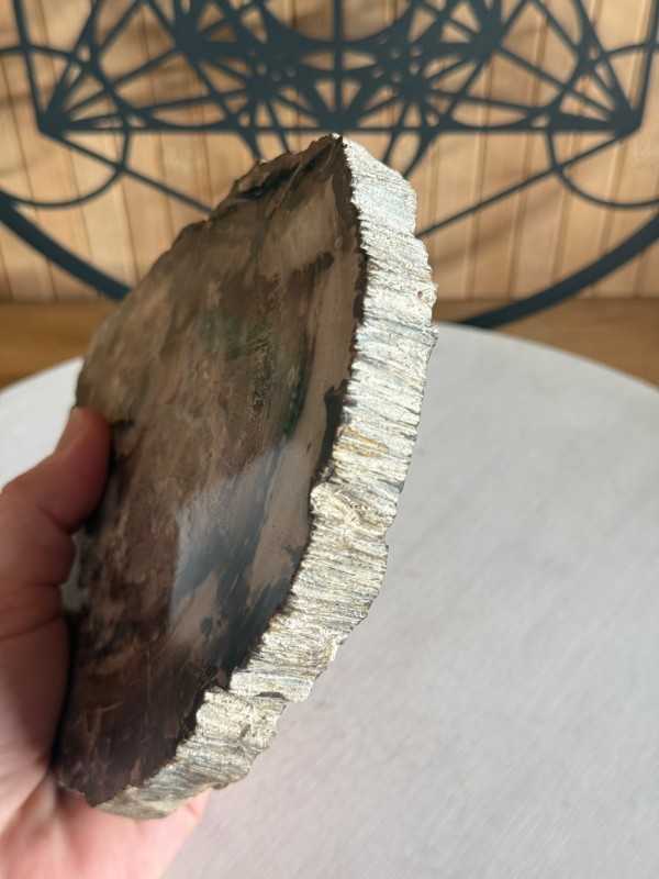 Bois fossilisé (0.7kg)