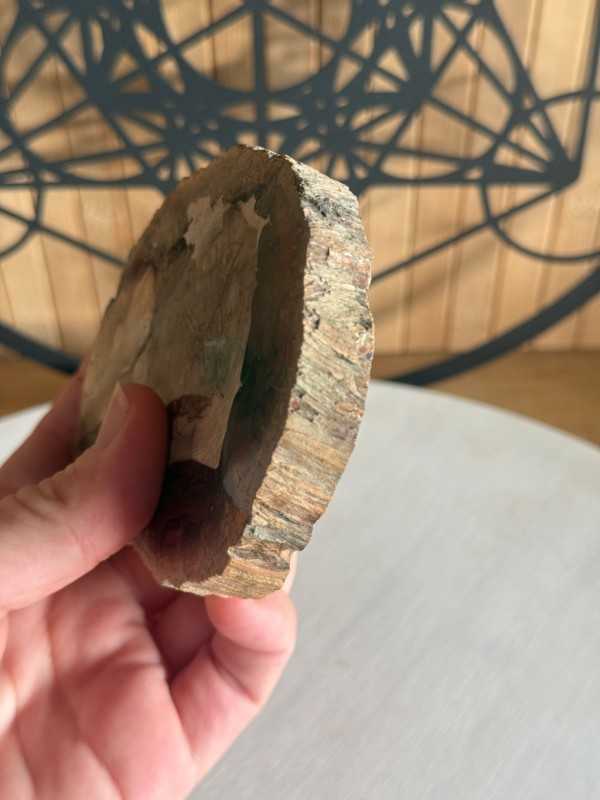 Bois fossilisé (0.24kg)