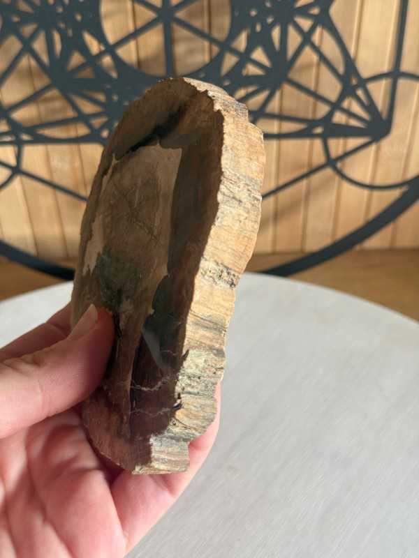 Bois fossilisé (0.24kg)