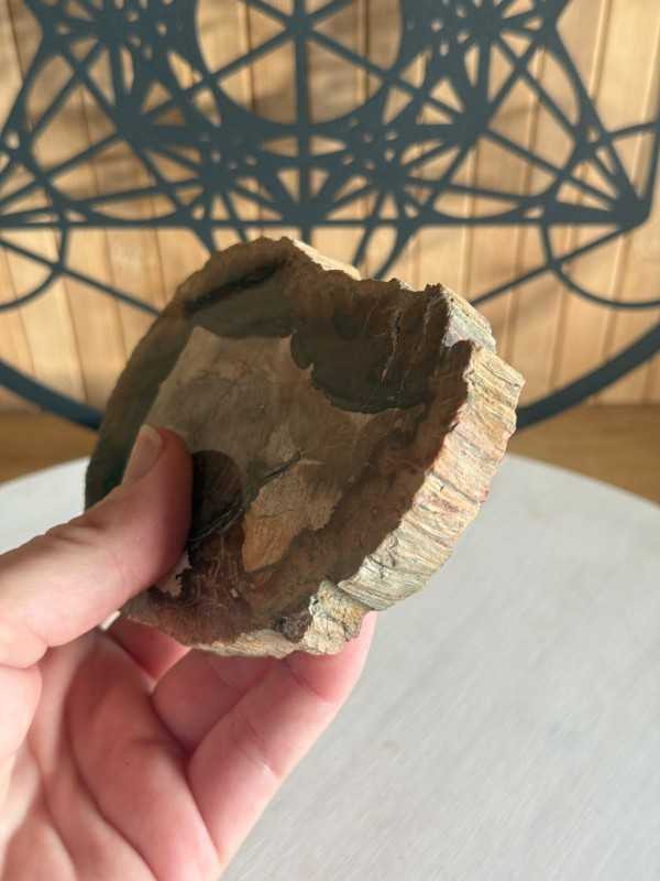 Bois fossilisé (0.24kg)