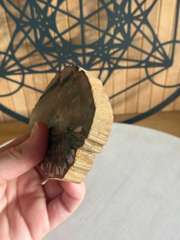 Bois fossilisé (0.23kg)