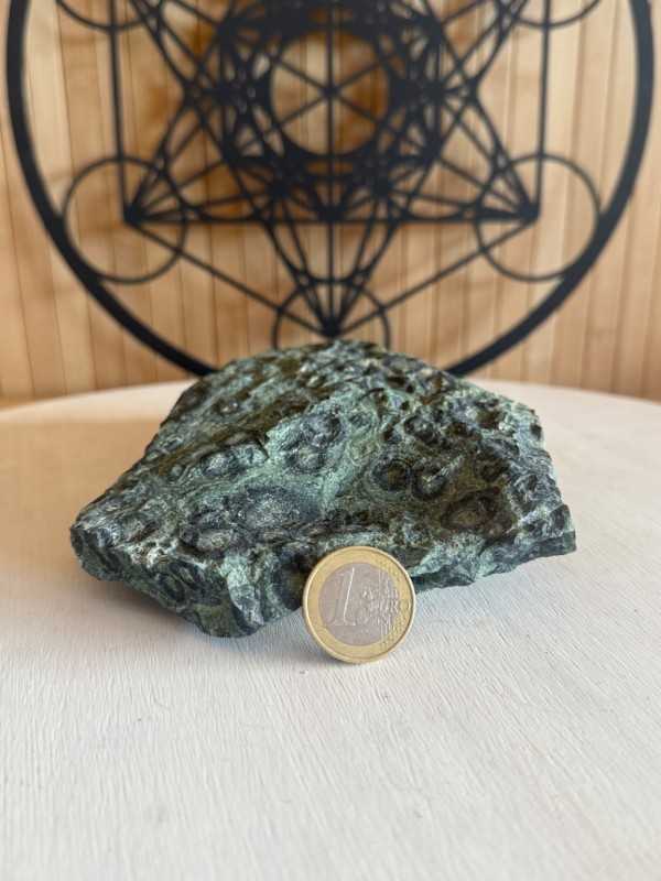 Jaspe kambaba (0.69kg)