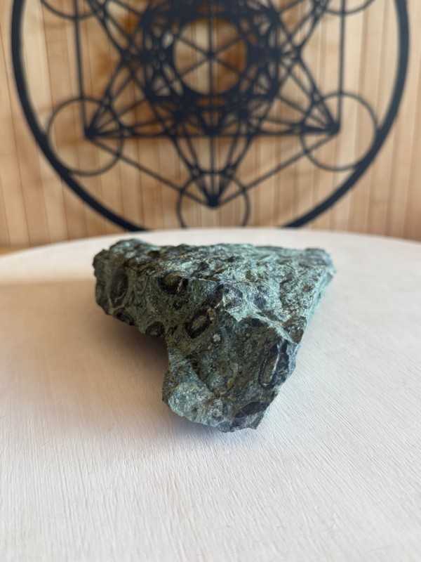 Jaspe kambaba (0.69kg)