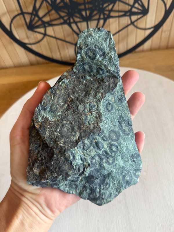 Jaspe kambaba (0.69kg)