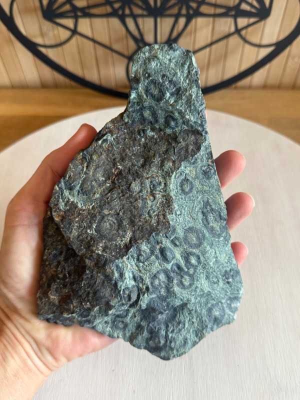 Jaspe kambaba (0.69kg)