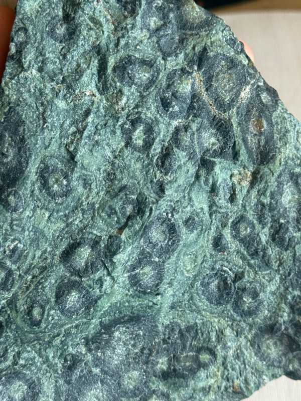 Jaspe kambaba (0.69kg)