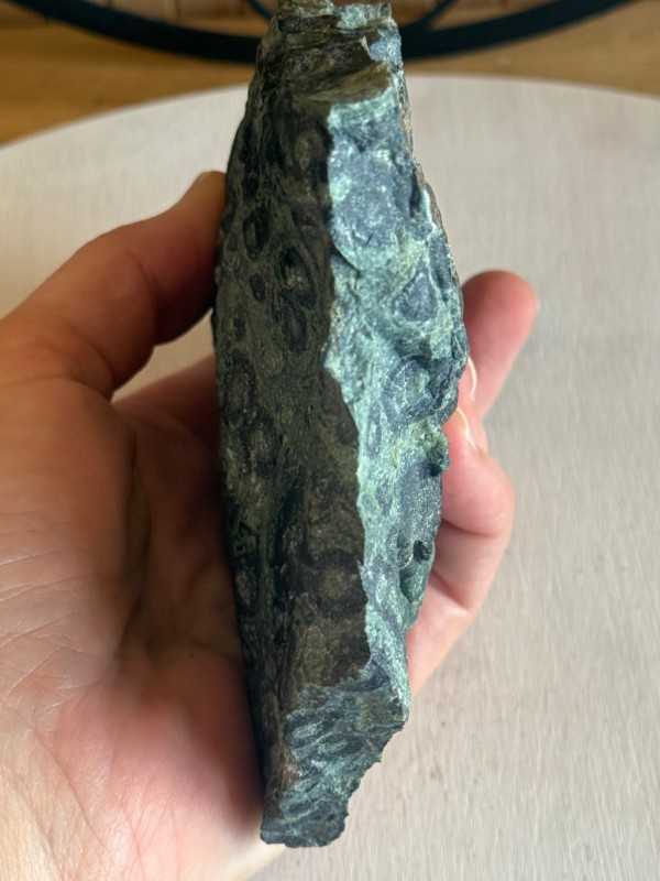 Jaspe kambaba (0.69kg)