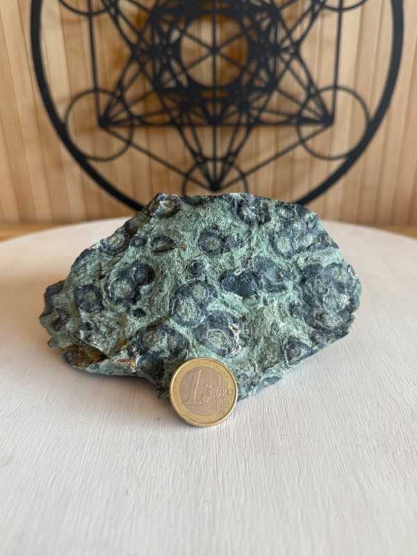 Jaspe kambaba (0.715kg)