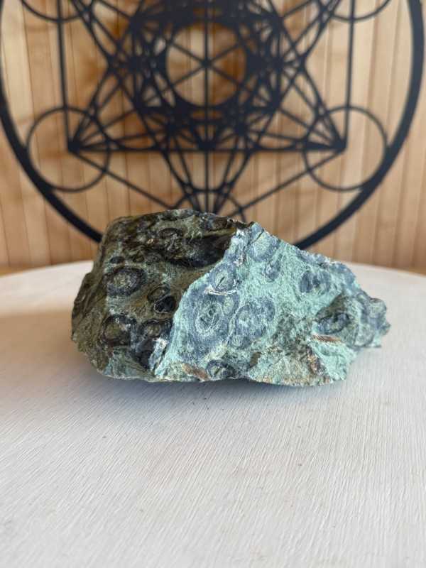 Jaspe kambaba (0.715kg)