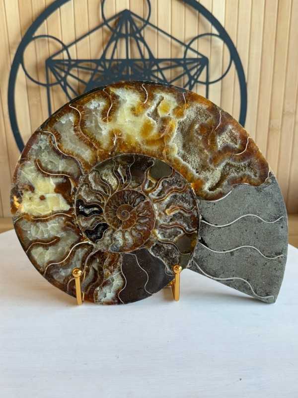 Support minéraux - modèle moyen Doré